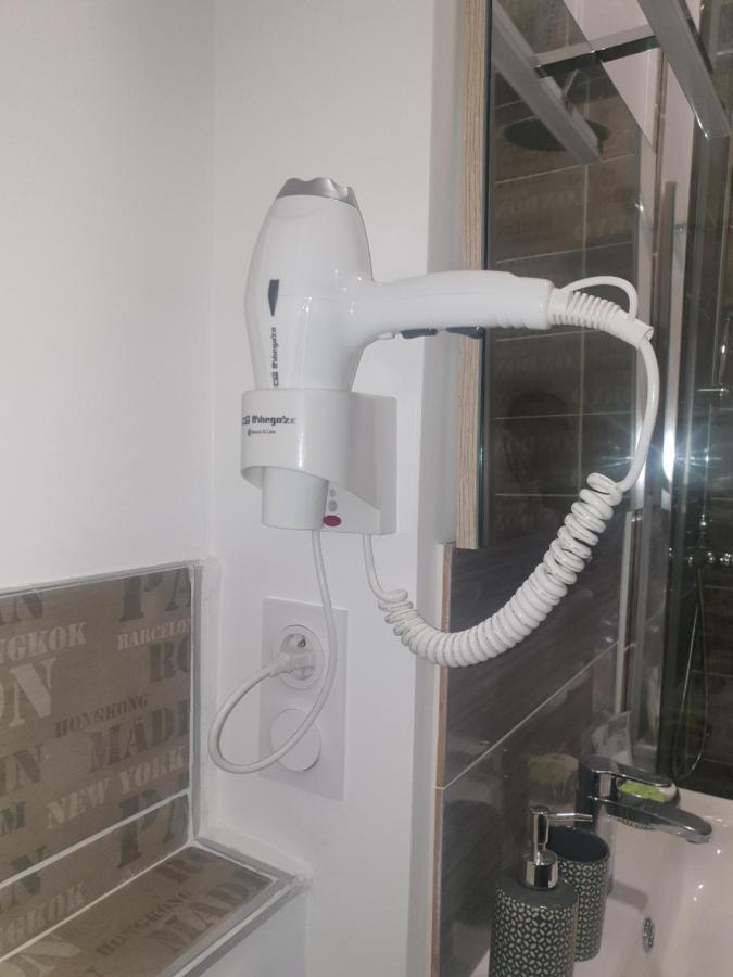 Studio Meuble Au Rdc , Proche Lac エクスレバン エクステリア 写真