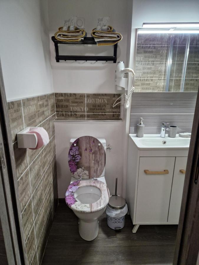 Studio Meuble Au Rdc , Proche Lac エクスレバン エクステリア 写真