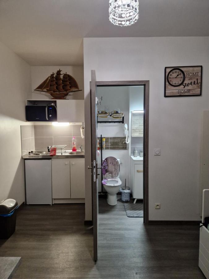 Studio Meuble Au Rdc , Proche Lac エクスレバン エクステリア 写真